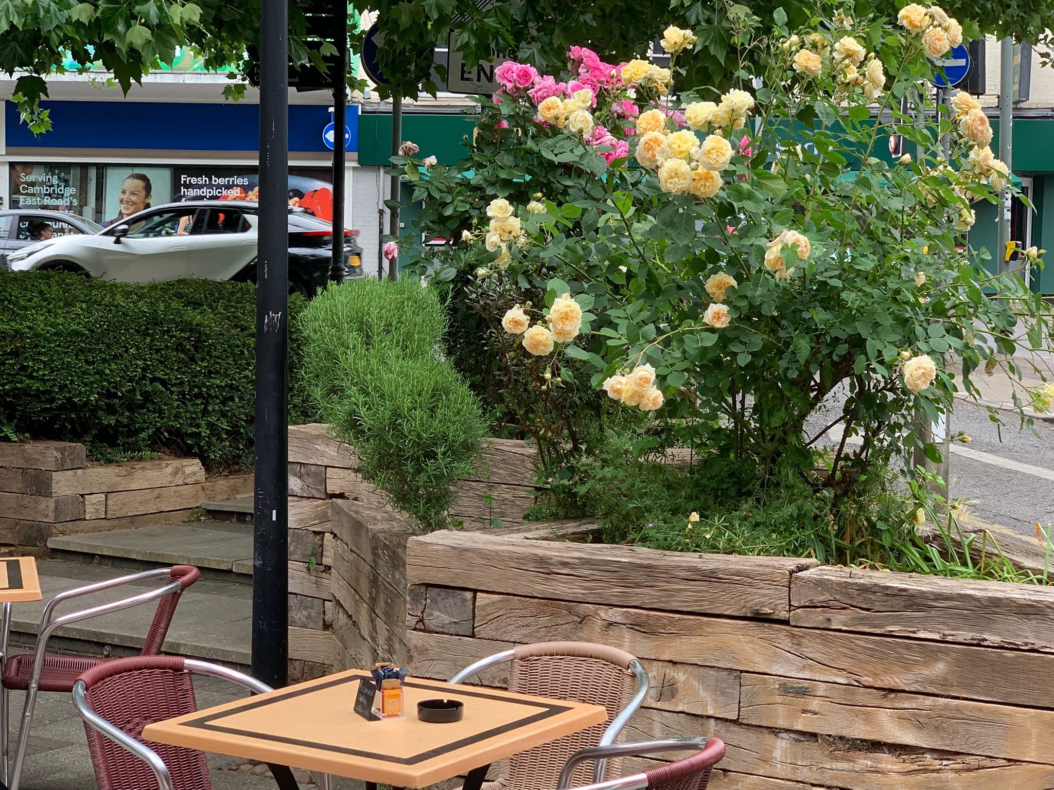 Terrace flowers and outdoor seating at Soleá